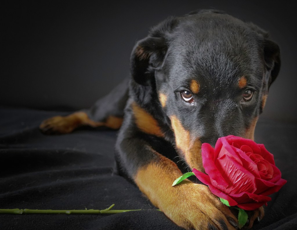 There’s no better time to make&nbsp;memories